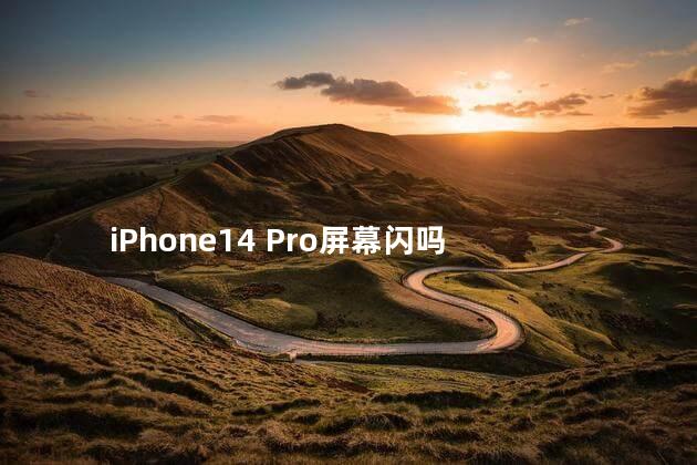 iphone14pro参数配置 iPhone14 Pro屏幕闪吗